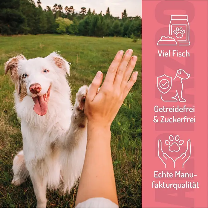 Alphazoo Hundesnack Alles Fisch Auf’m Tisch - 65 g