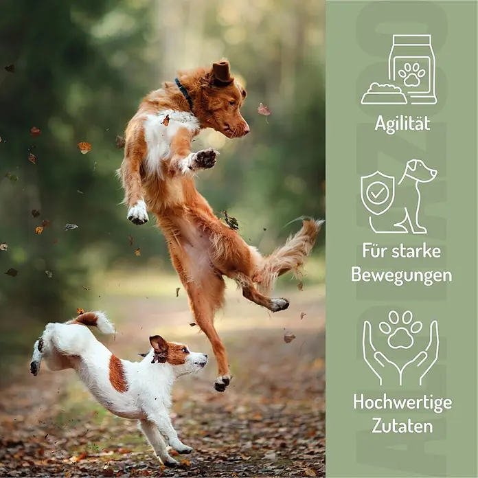 Alphazoo Hundesnack Auf dem Sprung Leckerli - 60 g