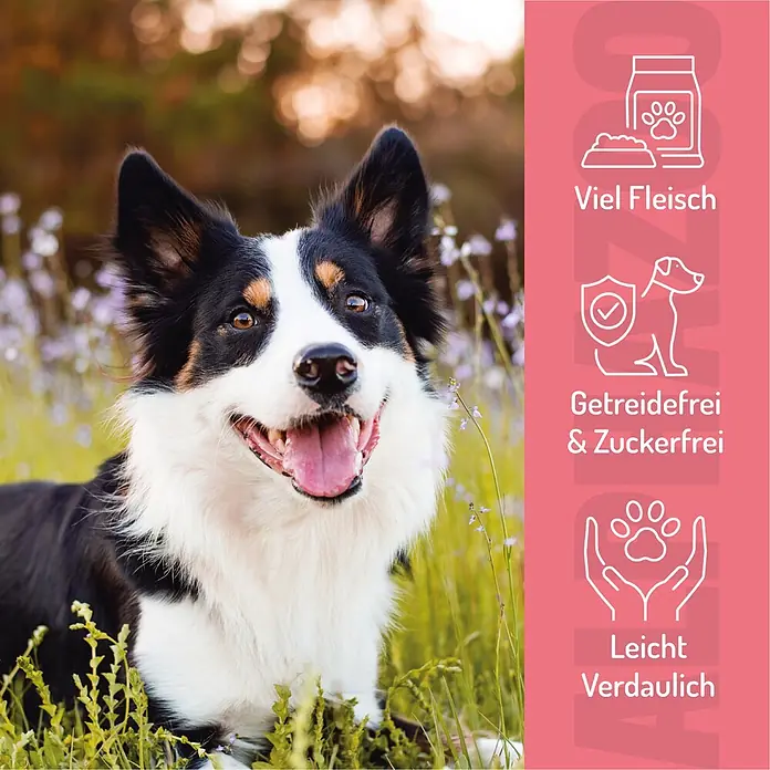 Alphazoo Hundesnack Wir wollen Meer Chicks - 195 g