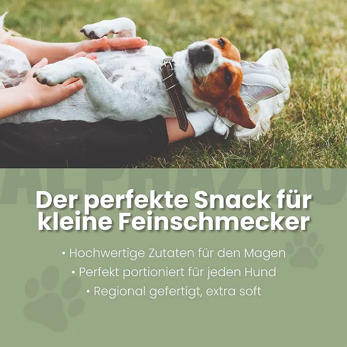Alphazoo Hundesnack Fauchi Bauchi Leckerli - 160 g