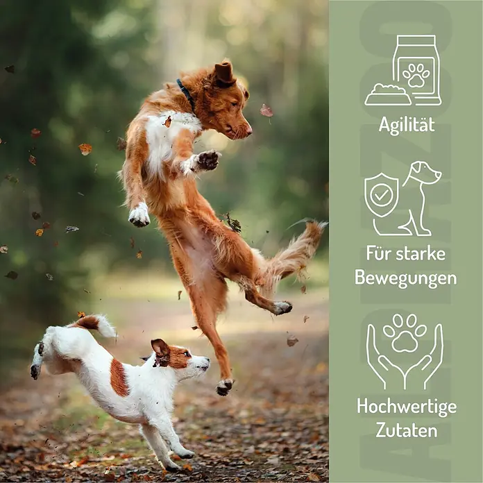 Alphazoo Hundesnack Auf dem Sprung Leckerli - 180 g
