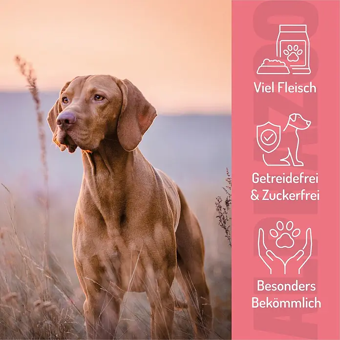 Alphazoo Hundesnack Kleines Rinderz-Vous - 195 g