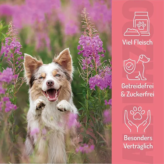 Alphazoo Hundesnack Ente ohne Süß-Sauer - 195 g