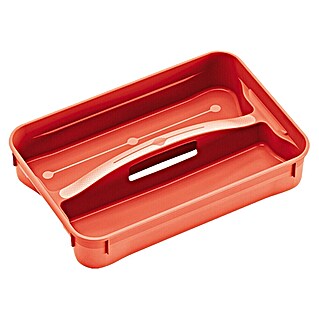 Regalux Inzetstuk voor Clear Boxen XS / S (Passend bij: Regalux Clear Box XS/S, Aantal vakken: 2 st.)