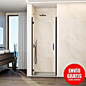 GME Mampara de ducha frontal Glass B (65 x 195 cm, Espesor de vidrio: 6 mm, Titanio) | BAUHAUS