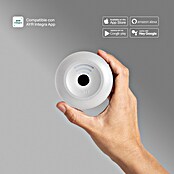 AYR Puente de conexión BT/WIFI (Específico para: Cerraduras int-LOCK PRO y/o int-ELEK) | BAUHAUS