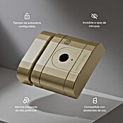 AYR Cerradura electrónica Lock-PRO (Dorado, Bluetooth, Mediante app) | BAUHAUS