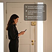 AYR Cerradura electrónica Lock-PRO (Dorado, Bluetooth, Mediante app) | BAUHAUS