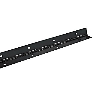 Walteco Stangenscharnier (L x B: 600 x 32 mm)