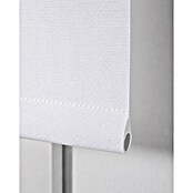 Estor enrollable Dark (An x Al: 90 x 250 cm, Blanco) | BAUHAUS