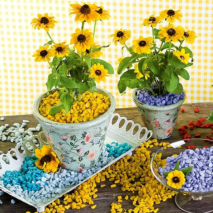 Deko-Steine - Gelb, Korngröße: Ø 9 - 13 mm, 500 ml - Dekoratives Arrangement mit Rudbeckia Pflanzen in verzierten Töpfen und bunten Ziersteinen auf einem Holztisch mit gelbem Hintergrund.