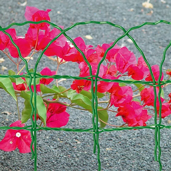 Hadra Maschendrahtzaun - 10 x 0,65 m, Grün - Rankgitter aus grünem Draht vor roter Bougainvillea, ideal für Gartenliebhaber. Stabil, dekorativ und perfekt für Kletterpflanzen.