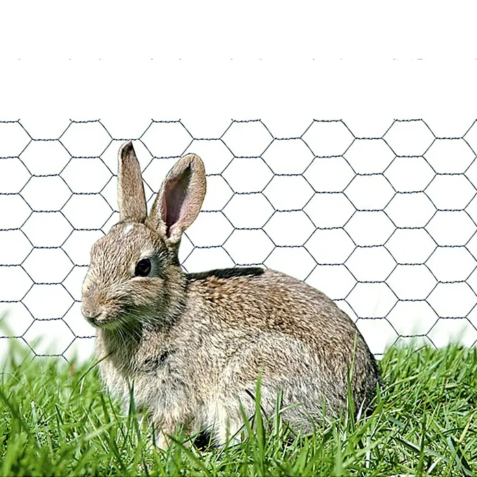 Stabilit Drahtgeflecht - 10 x 0,5 m, Maschenweite: 13 mm, Grün, Pulverbeschichtet - Ein beiger Hase sitzt vor einem Maschendrahtzaun im grünen Gras. Der Zaun schützt vor ungebetenen Gästen im Garten.