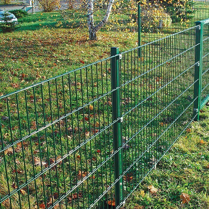 clôture de métal SMALL de hadra vert