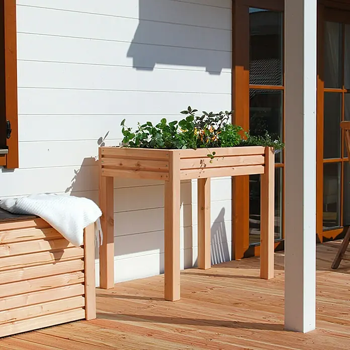 Terrassendiele - Douglasie, 200 x 14,5 x 2,8 cm, Rötlich gelblich - Ein erhöhter Pflanzkasten aus Holz mit grünen Pflanzen auf einer Holzterrasse vor einem weißen Haus mit braunen Fensterrahmen.