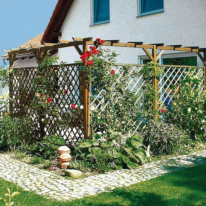 Rankgitter - B x H: 100 x 180 cm - Ein Gartenzaun mit Rosen bewachsen, der einen schönen Rahmen für den Garten bildet und Privatsphäre schafft.
