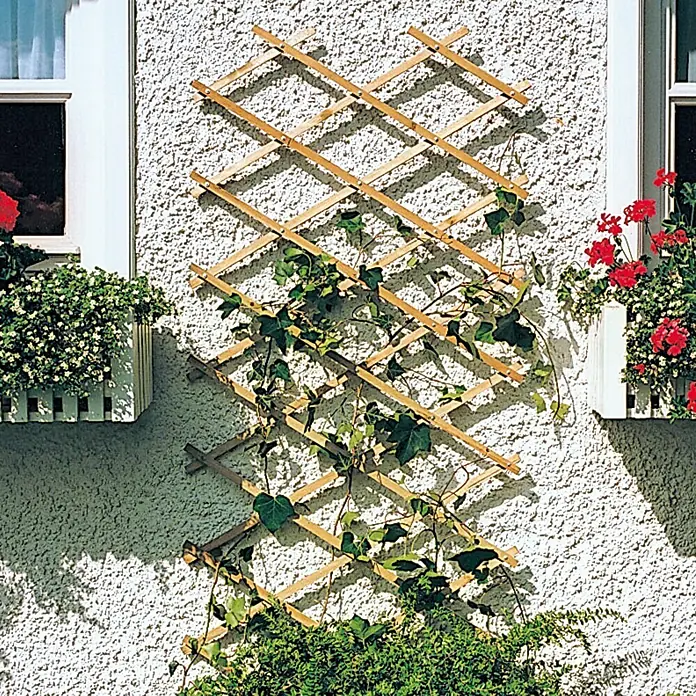 Rosenspalier - Natur, 100 x 200 cm - Gartenzaun zum Klettern von Pflanzen, der an einer weißen Wand mit Fenstern befestigt ist und eine dekorative Ergänzung für den Außenbereich darstellt.