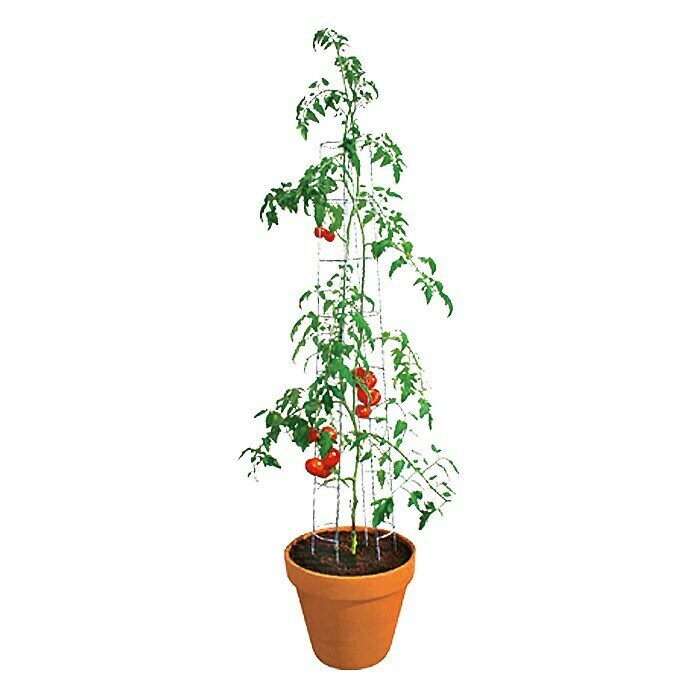 Bellissa TomatenturmHöhe: 180 cm, Durchmesser: 13 cm Unknown