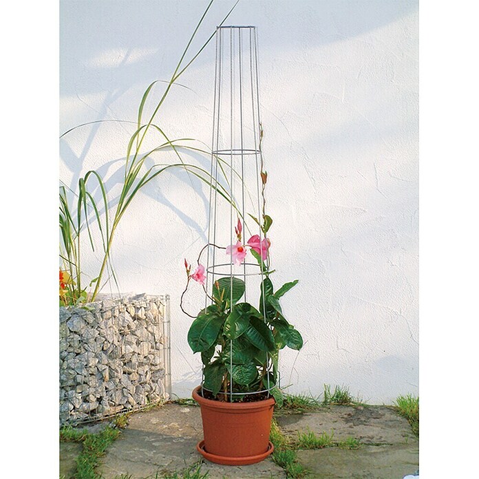 Bellissa Rešetkasto stojalo Aktion  (Višina: 80 cm, Premer: 28 cm) | 7407 - Metall Spaliere/Stäbe/Staudenhalter | IAGA - Metallzaun | IAG - Außenbereichsausstattung | IA - Gartenhartware | I - Stadtgarten | BAUHAUS