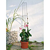 Bellissa Rešetkasto stojalo Aktion  (Višina: 80 cm, Premer: 28 cm) | 7407 - Metall Spaliere/Stäbe/Staudenhalter | IAGA - Metallzaun | IAG - Außenbereichsausstattung | IA - Gartenhartware | I - Stadtgarten | BAUHAUS