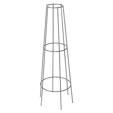 Bellissa  Ranksäule Aktion