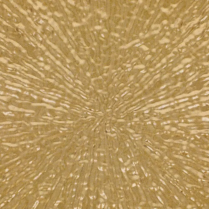 Deko-Teller Porta - Durchmesser: 33 cm, Gold - Funkelnde goldene strukturierte Oberfläche mit strahlenförmigem Wellenmuster.