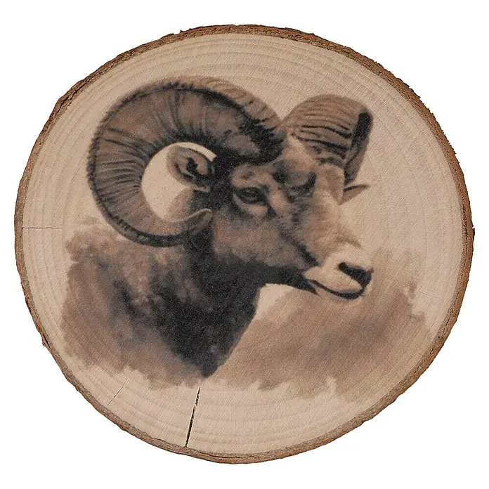 Untersetzer - 1 Stk., Sortiert, Durchmesser: 10 cm - Runde Holzscheibe mit sepiabrauner Brandmalerei eines Bighorn-Widdkopfs.