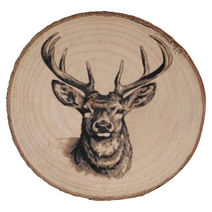 Untersetzer - 1 Stk., Sortiert, Durchmesser: 10 cm - Hirschkopf-Brandmalerei auf einer Baumscheibe aus Naturholz.