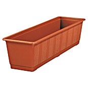 Geli Standard Jardinera para balcón (Largo: 60 cm, Terracota)