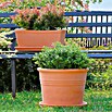 Deroma White Garden Pflanzgefäß Cylindro Bordata (Durchmesser: 28 cm, Terracotta)