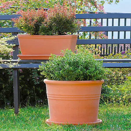 Blumenksten & Blumenbehlter kaufen