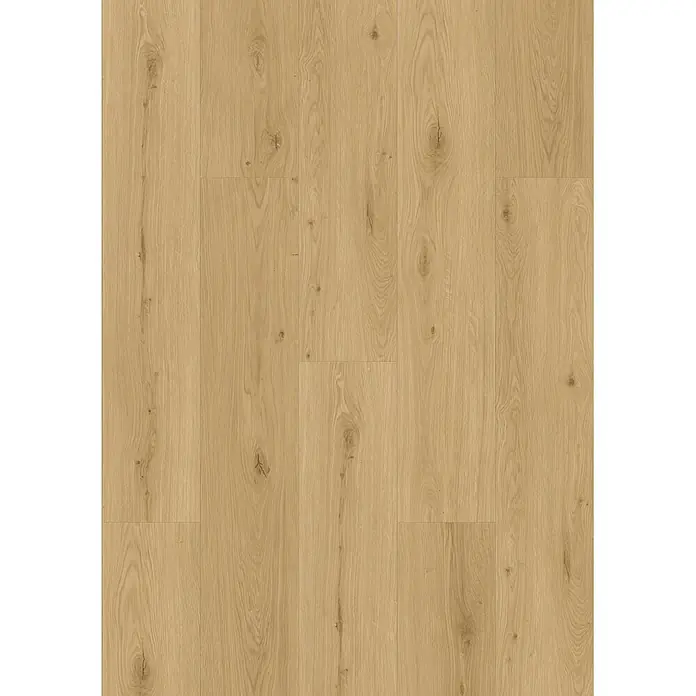 Vinylboden Rigid - Eiche Nordland, Landhausdiele, 1.295 x 240 x 6 mm - Heller Natur-Eichenholzboden mit sichtbarer Maserung und Ästen.