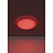 Eglo LED-Deckenleuchte rund Maltignano-Z (14 W, Ø x H: 33 x 7 cm, Weiß, RGB) | BAUHAUS