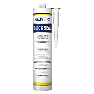 Lepilna tesnilna masa Quick Seal (Bela, 1 kg)