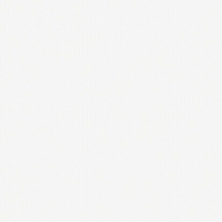 D-c-fix Klebefolie Lack (Weiß, 200 x 67,5 cm, Uni, Selbstklebend)