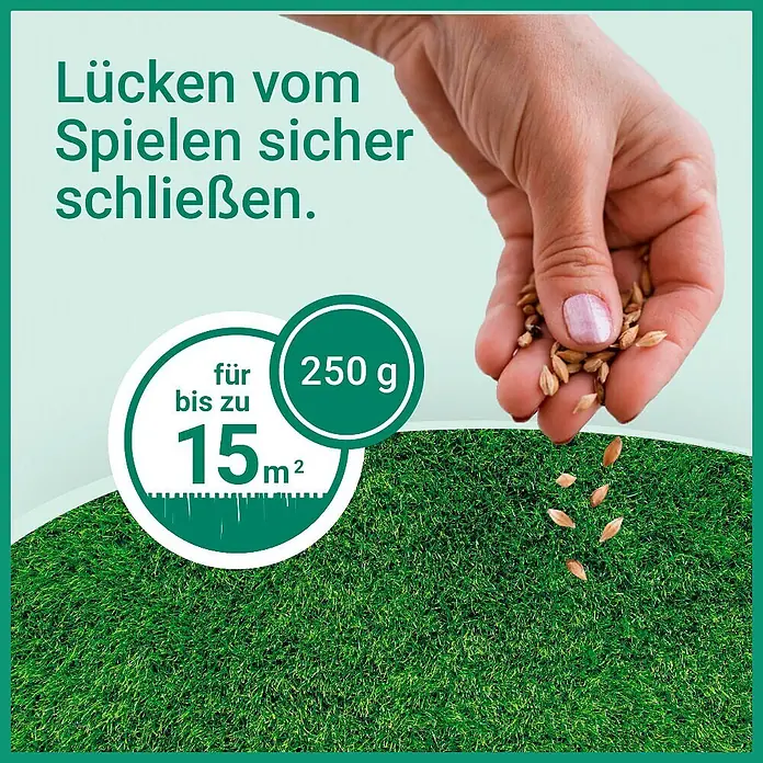 Gardol Nachsaat-Rasen Spiel- & Sprot - 0,25 kg, Saatgut ausreichend für: 15 m² - Hand streut Rasensamen auf einen Rasen. 250g reichen für bis zu 15m², ideal zum Schließen spielbedingter Lücken.