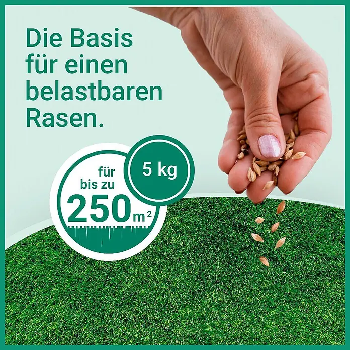Gardol Spiel- & Sportrasensamen - 5 kg, Saatgut ausreichend für: 250 m² - Hand sät 5 kg Rasensamen für bis zu 250 m² für einen belastbaren Rasen.