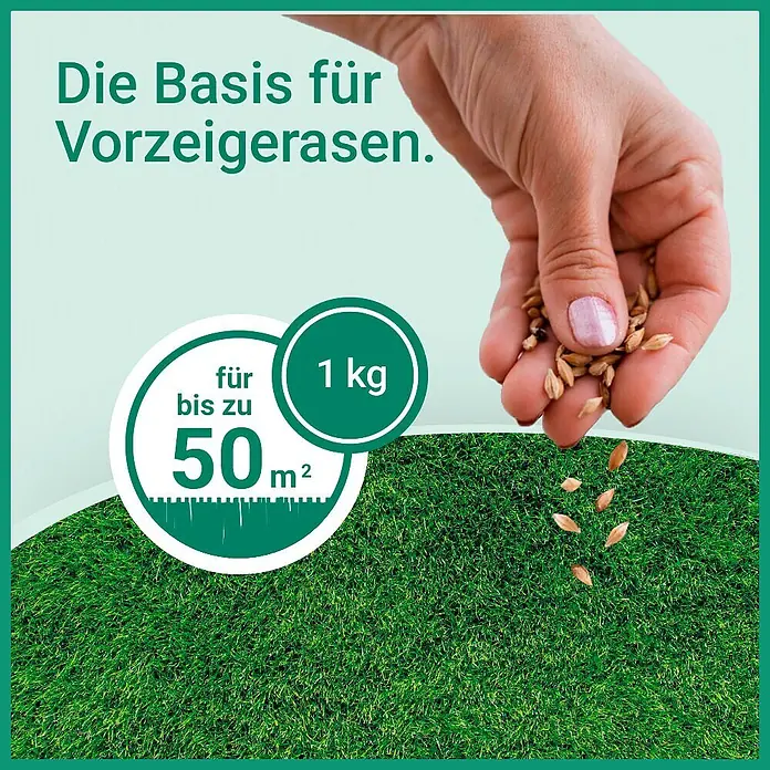 Gardol Zierrasensamen - 1 kg, Saatgut ausreichend für: 50 m² - Hand streut braune Grassamen auf grünen Rasen. 1 kg Produkt reicht für bis zu 50 m² Fläche.
