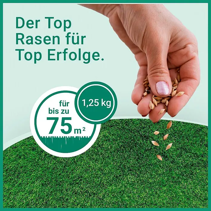 Gardol Rasensamen Premiumrasen - 1,25 kg, Saatgut ausreichend für: 75 m² - Hand streut 1,25 kg Rasensamen, reicht für bis zu 75 m² für einen Top-Rasen.