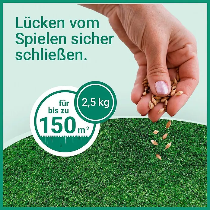 Gardol Nachsaat-Rasen Spiel- & Sprot - 2,5 kg, Saatgut ausreichend für: 150 m² - Hand streut 2,5 kg Rasensamen auf Rasenfläche zum Schließen von Lücken, für bis zu 150 m².