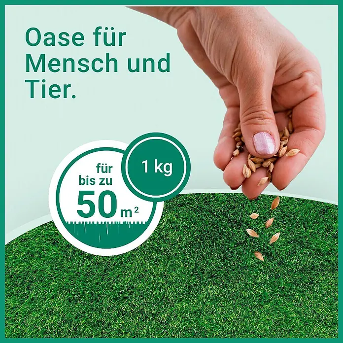 Gardol Rasensamen Klimarasen Naturwiese - 1 kg, Saatgut ausreichend für: 50 m² - Eine Hand sät 1 kg Rasensaatgut auf eine grüne Rasenfläche für bis zu 50 m².