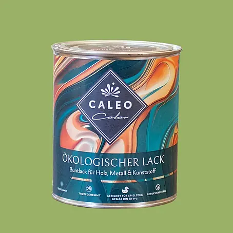 Caleo Color  Buntlack Gingko