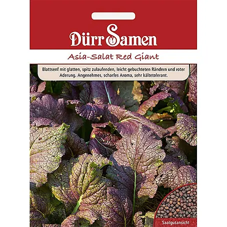 Dürr Samen  Salatsamen Asia-Salat