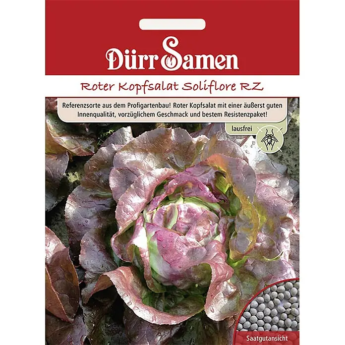 Dürr Samen Salatsamen Kopfsalat - Lactuca sativa, Erntezeit: Mai, 8 g - Saatguttüte von Dürr Samen 'Roter Kopfsalat Soliflore RZ' mit Bild des roten Kopfsalats und Nahaufnahme der Samen.