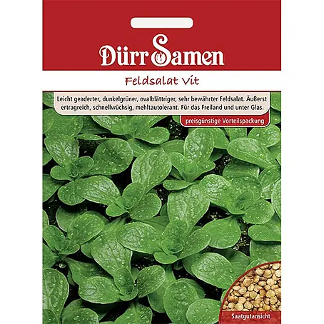 Dürr Samen Feldsalat Vit (Vorteilspackung)