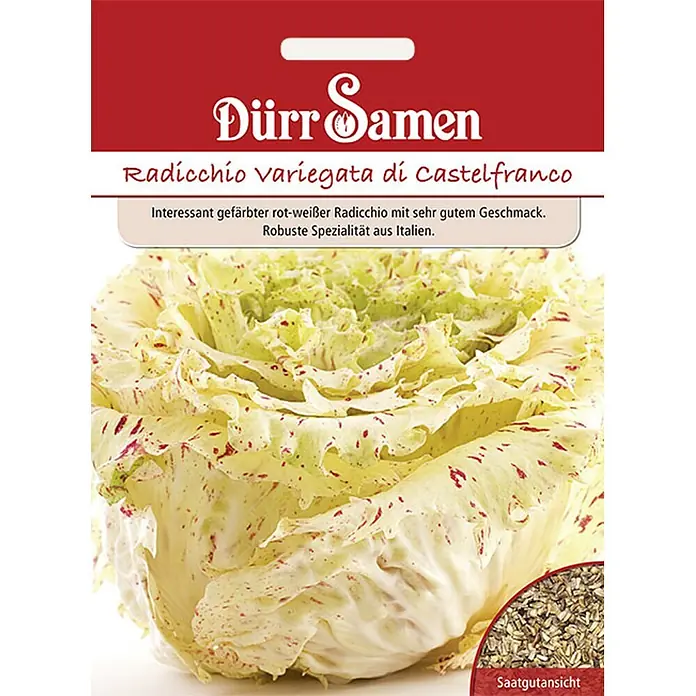Dürr Samen Radicchio Variegata di Castelfranco -  - Samenpäckchen für Radicchio variegata di Castelfranco, zeigt den rot-weiß gesprenkelten Radicchio und eine Ansicht der Samen.
