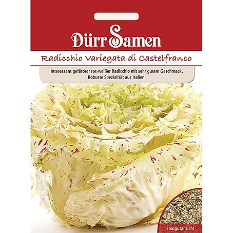 Dürr Samen Radicchio Variegata di Castelfranco