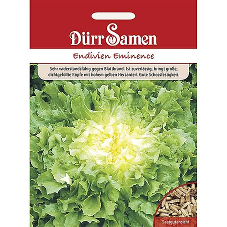 Dürr Samen Winter-Endivien Eminence