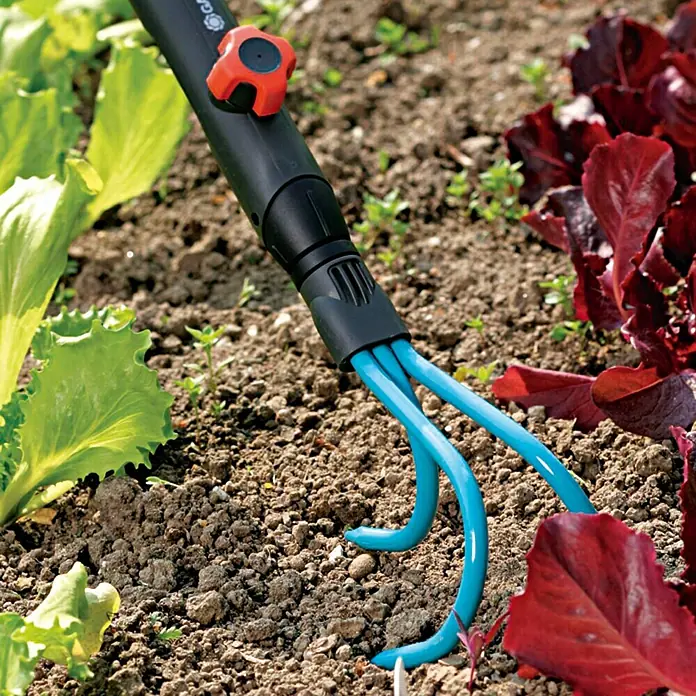Gardena Combisystem Grubber - Arbeitsbreite: 9 cm, Anzahl Zinken: 3, Stahl - Gartengerät mit blauem Krallenaufsatz zur Bodenbearbeitung zwischen Salat und rotem Mangold im Gartenbeet.