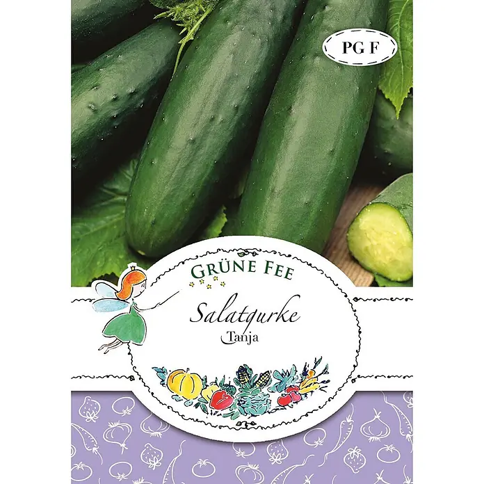 Grüne Fee Gemüsesamen Gurke - Cucumis sativus L., Erntezeit: Juli - Samenpackung für 'Grüne Fee Salatgurke Tanja', mit Feenillustration und frischen Gurken.